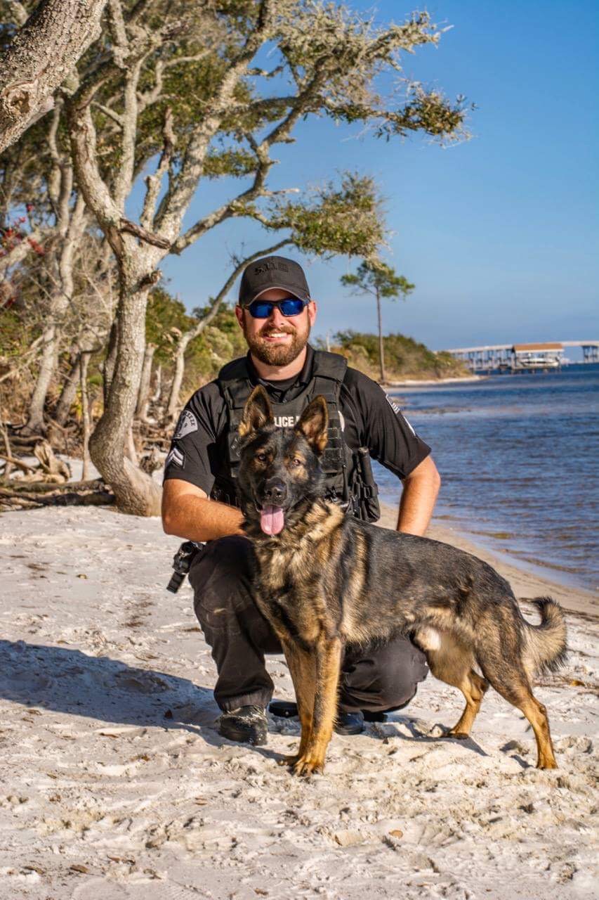 K9 Loki